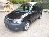 Volkswagen Caddy Roncalli Trendline 1.6 TDI - Volkswagen Caddy: Roncalli Trendline