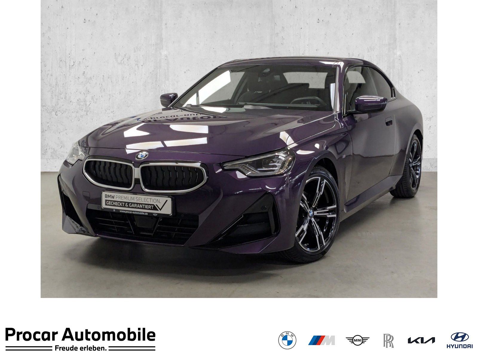 BMW 218i Coupé M Sport AHK HiFi PA AdapLED 18''