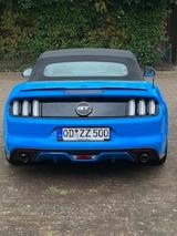 Ford Mustang 5.0 Ti-VCT V8 GT Auto GT - Ford Mustang Gebrauchtwagen in Hamburg