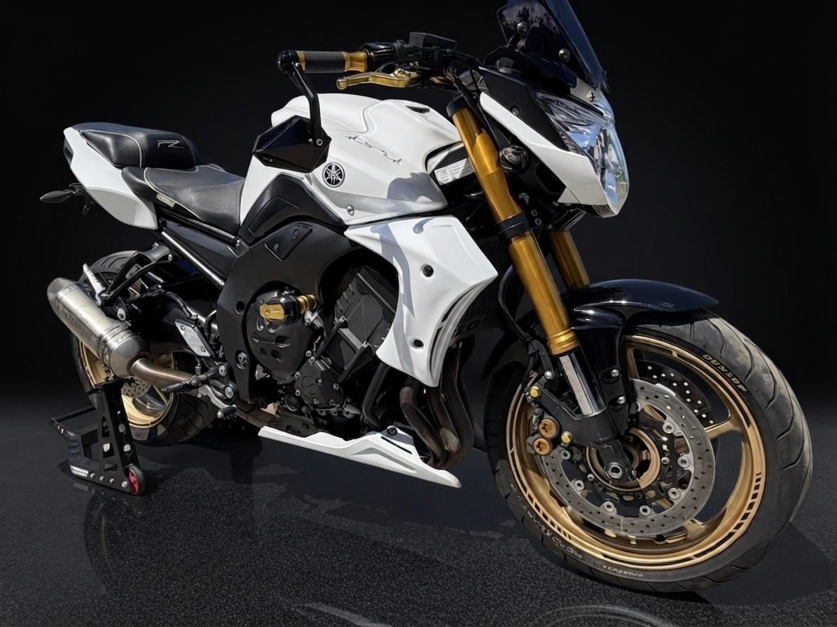 Yamaha FZ8 Top gepflegt mit viel schönem Zubehör