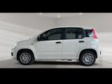 Fiat Panda - Fiat Panda mit Benzin-Antrieb: Kleinwagen