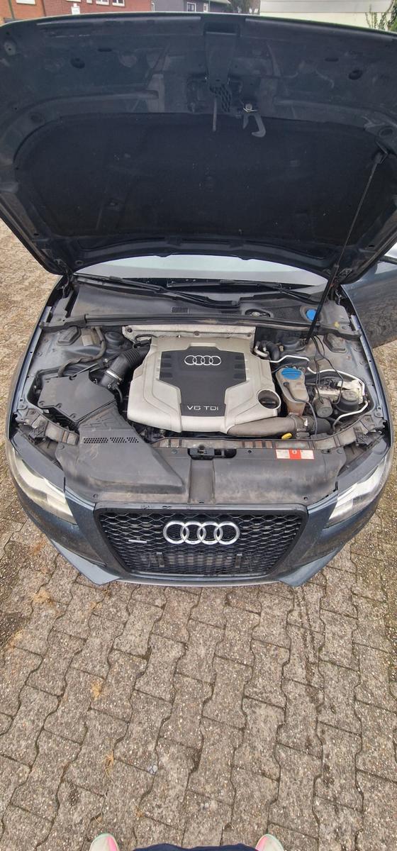 Audi Quattro 2009 — photo 8