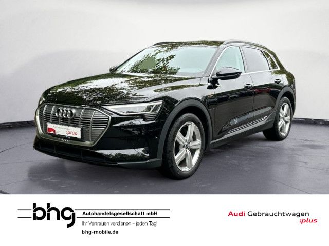 Audi e-tron 50 quattro LED/Navi/Kamera/Assist/uvm.