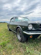 Ford Mustang Fastback 1965 