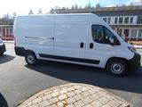 Opel Movano Kasten 35 L3H2 BlueHDI 180 Vollausstattun - Opel Movano: L3h3