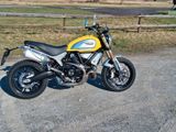 Ducati Scrambler 1100 - DUCATI GELB