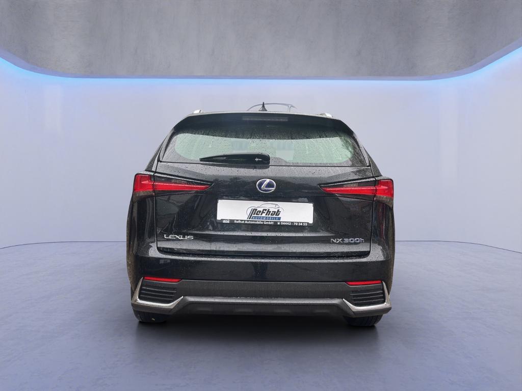 Lexus NX 300