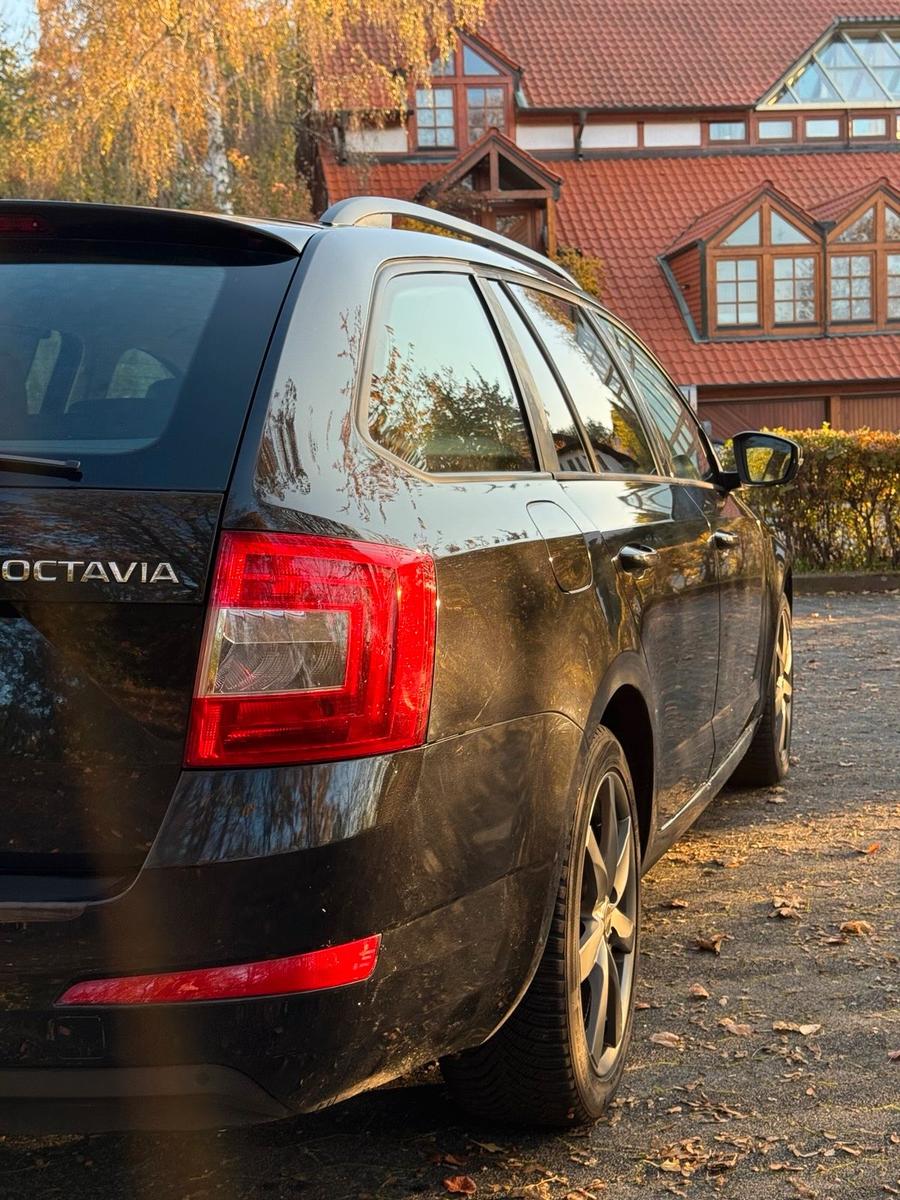 Skoda Octavia 2014 — фото 6
