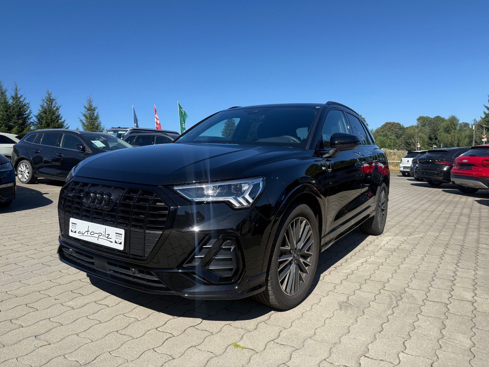 Audi Q3 40 TDI quattro S line AHZV  Standheizung