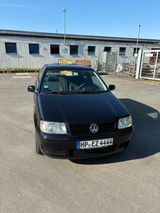 Volkswagen Polo 1.4 55kW Comfortline Comfortline - Volkswagen Polo aus 2000: 1.4