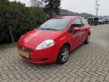 Fiat Punto  3-Türer 1.2 8V 'Klima/CD/LM' - Fiat Punto: Türer