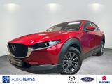 Mazda CX-30 2.0l SKYACTIV-G "AAAC" M Hybrid - Mazda CX-30 Gebrauchtwagen in Berlin