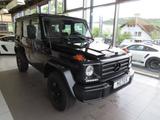 Mercedes-Benz G 350 d Professional KLIMA AHK - Mercedes-Benz: Professional