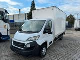 Fiat Ducato Koffer mit Ladebordwand - Holztransporter