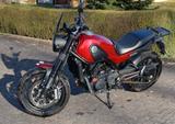 Benelli Leoncino 500 - BENELLI LEONCINO