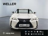 Lexus UX 250h Style Edition *Bi-LED*ACC*CAM*SHZ*CarPla - Lexus UX in Leipzig