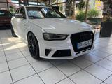 Audi S4 S tronic *20 Zoll* Schiebedach* *Memory* Kam* - Audi S4: Weiß