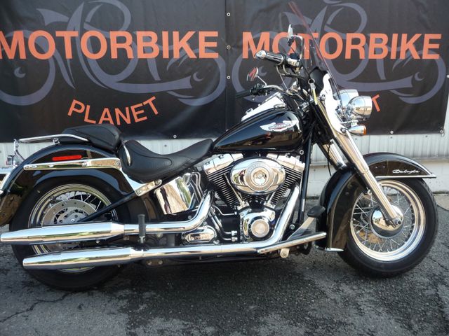 Harley-Davidson Softail Deluxe 1584 FLSTN