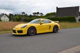 Porsche Cayman GT4 *Perfekter Zustand*Porsche Scheckhft* - Porsche Cayman in Frankfurt (Main)