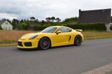Porsche Cayman GT4 *Perfekter Zustand*Porsche Scheckhft* - Porsche Cayman aus 2016