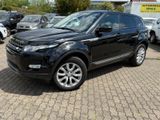 Land Rover Range Rover Evoque Pure Technik - Land Rover Range Rover Evoque: Pure Technik