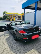 BMW Bmw 645Ci Cabrio V8 Top Gepflegt - BMW 645 aus 2005: 645ci