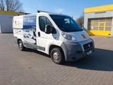 Fiat Ducato Multijet Kastenwagen Flach Kurz - Fiat Ducato: Kastenwagen