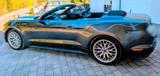 Ford Mustang Cabriolet - Ford Mustang in Halle