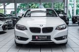 BMW 218 Cabrio SitzHz*PDC*Tempomat*Bluetooth*Breyton - BMW 218 mit Benzin-Antrieb