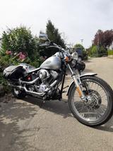 Harley-Davidson Softtail Twin Cam - HARLEY-DAVIDSON TWIN CAM