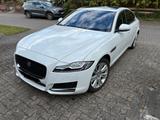Jaguar XF 35t 340PS Prestige Automatik - Jaguar XF: Prestige