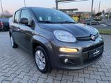 Fiat Panda 1.2 Easy Klima, Allwetter, technisch Top - gebrauchte Fiat Panda aus dem Jahr 2017
