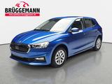 Skoda FABIA 1.0 TSI DSG 130 JAHRE LED KLIMAAUTO SICHT 