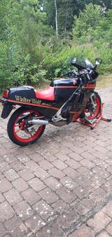Suzuki RG 250 F Gamma - SUZUKI RG