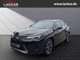 Lexus UX 250h STYLE EDITION*LED*KAM* CARPLAY*GARANTIE - Lexus Gebrauchtwagen von 2022