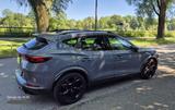 Cupra Formentor 2.0 TSI VZ 4Drive DSG, AHK, LED,Sounds - Cupra Formentor: Privatanbieter