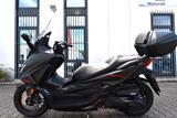 Honda Forza 350 Special Edition 6 Jahre Garantie ! - Honda Forza 350 Special Edition