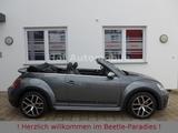 Volkswagen Beetle 1.4TSI Dune Xenon Navi Kamera Allwetter - Volkswagen Beetle: Cabrio
