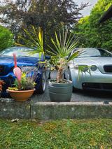 BMW 325ti Compact / M-Paket / Leder / Memory 