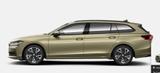 Skoda Superb Combi Selection 2.0 TDI 193PS DSG 4x4 Fah - Skoda Superb mit Diesel-Antrieb: Beige