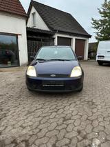 Ford Fiesta 1.4 TDCi 1st Edition - - Ford Fiesta aus 2002 mit Diesel-Antrieb