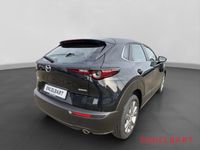 Mazda CX-30 - Vorschau Bild 4