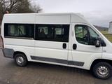Fiat Ducato Hochr.-Kombi .9 Sitzer - Fiat Ducato in Dortmund