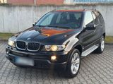 BMW X5 E53 3.0  XDRIVE M PAKET PANO AHK CA... - BMW X5 aus 2005
