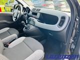 Fiat Panda 1.0 Cross City Plus Hybrid DAB Klima teilb - Fiat Panda: 1.0