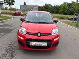 Fiat Panda Easy*1.Hand*Klima*Nur 21.600 KM!!! - gebrauchte Fiat Panda aus dem Jahr 2019