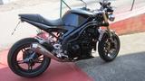 Triumph Speed Triple 1050 - TRIUMPH 2005 SPEED TRIPLE 1050