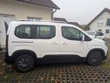 Peugeot Rifter BlueHDi 130 Allure L1 Allure - Peugeot Rifter mit Panoramadach