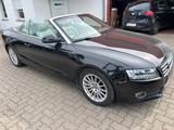 Audi A5 Cabriolet 2.0 TFSI/LEDER/NAVI/SHZ/TEMP/PDC - gebrauchte Audi bis 25.000 Euro