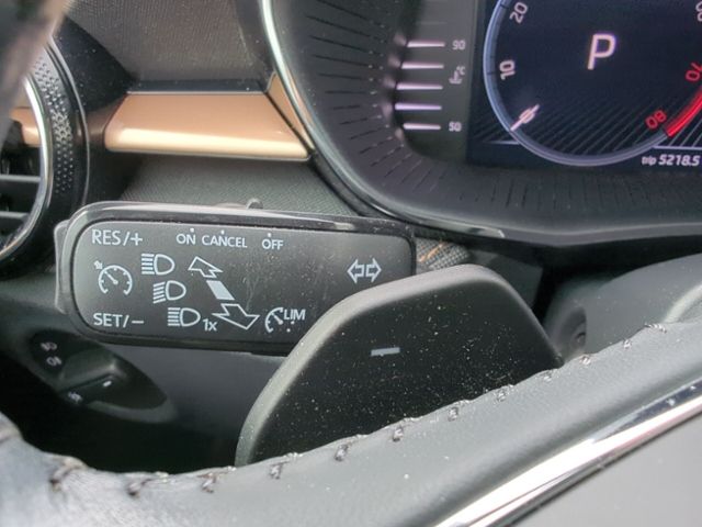 Fahrzeugabbildung SKODA Fabia 1.0 TSI DSG Style Colour Concept CLIMATRON